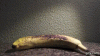 31G72O.gif