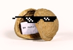NUT