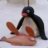 Noot Boot